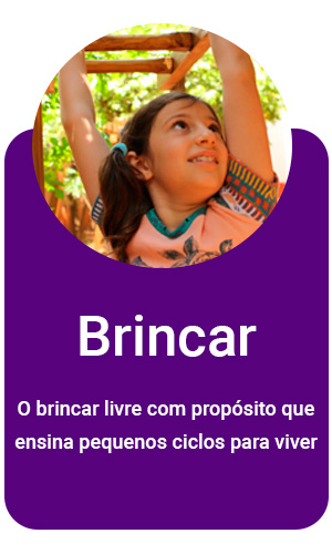 Brincar